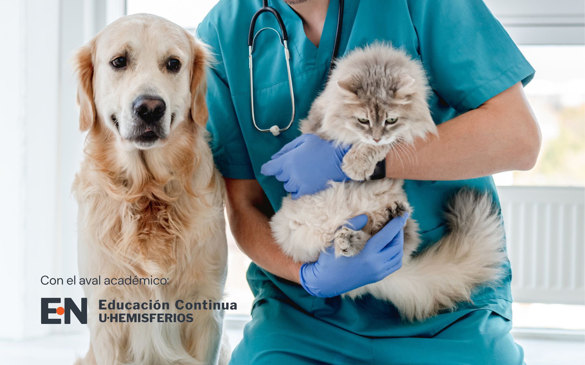 Certificación de Auxiliar De Veterinaria