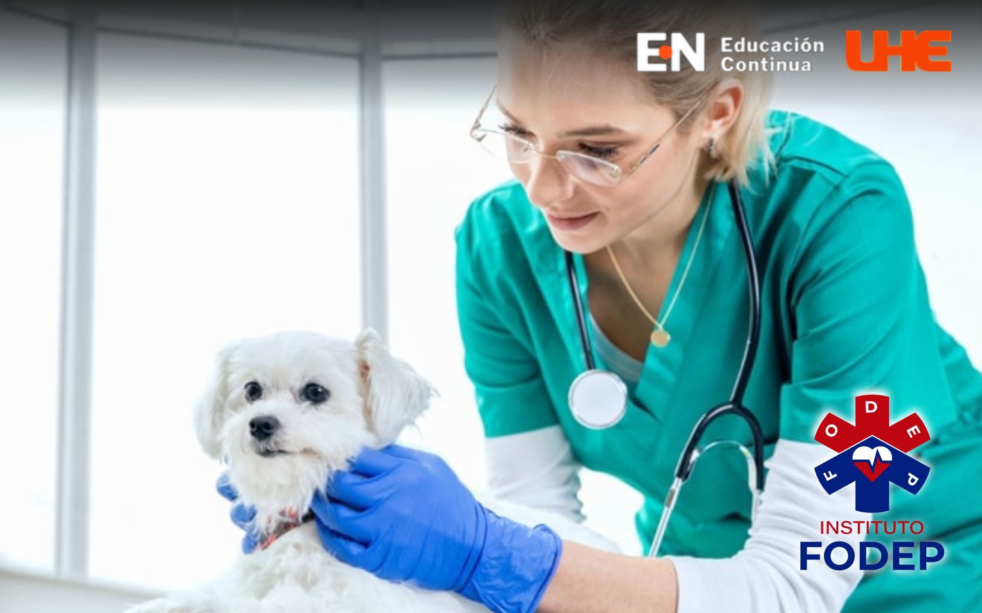 Certificación en Auxiliar de Veterinaria Clínica