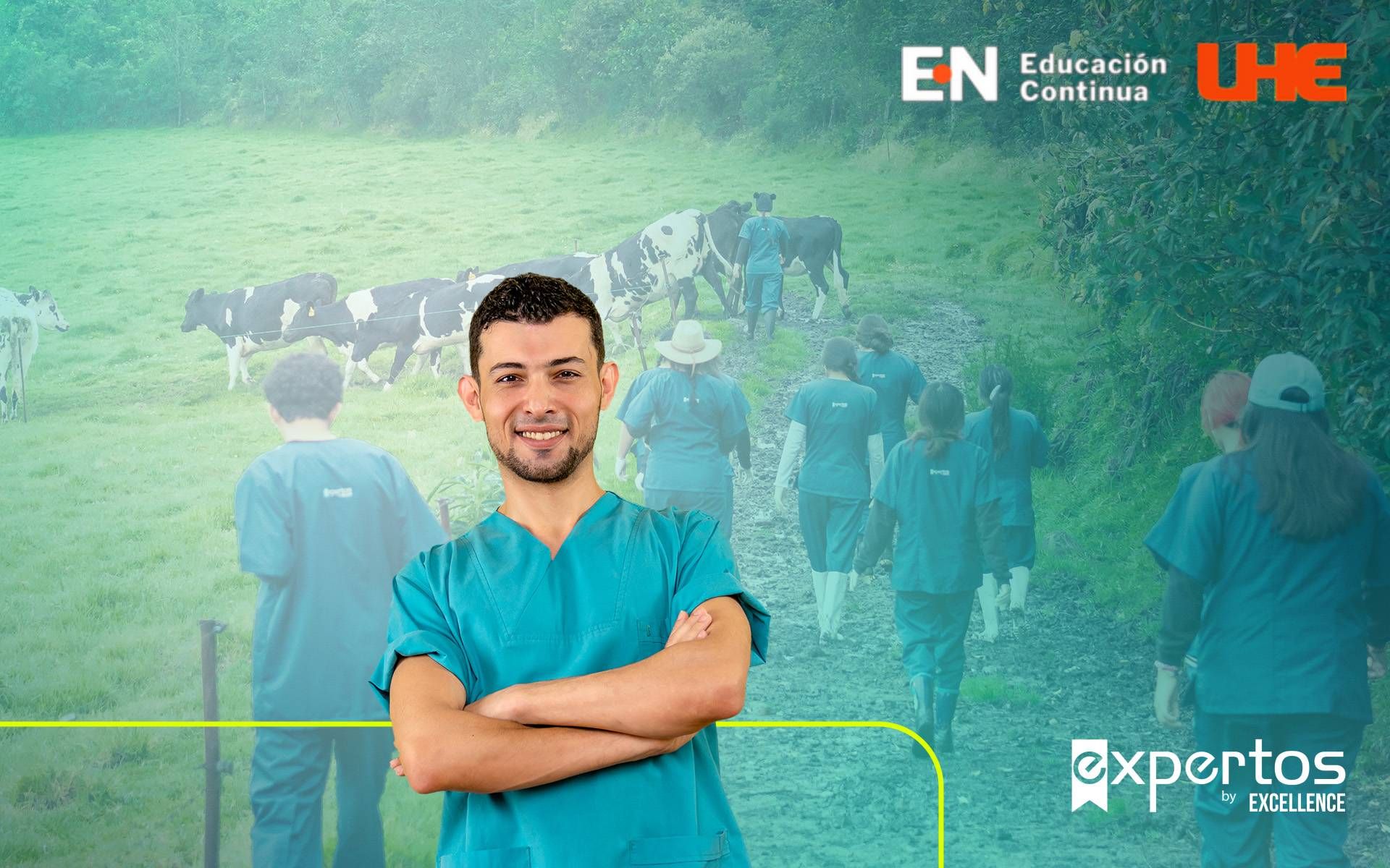 Diplomado En Asistencia Veterinaria Para Sistemas De Producción Animal