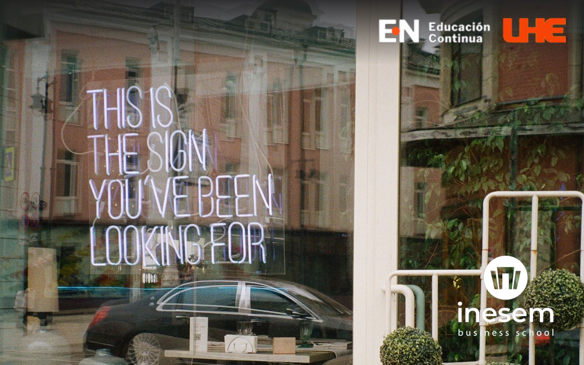 Diplomado en Escaparatismo