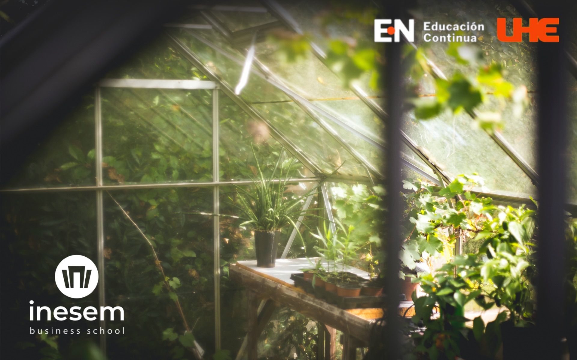 Diplomado en Gestión Ambiental