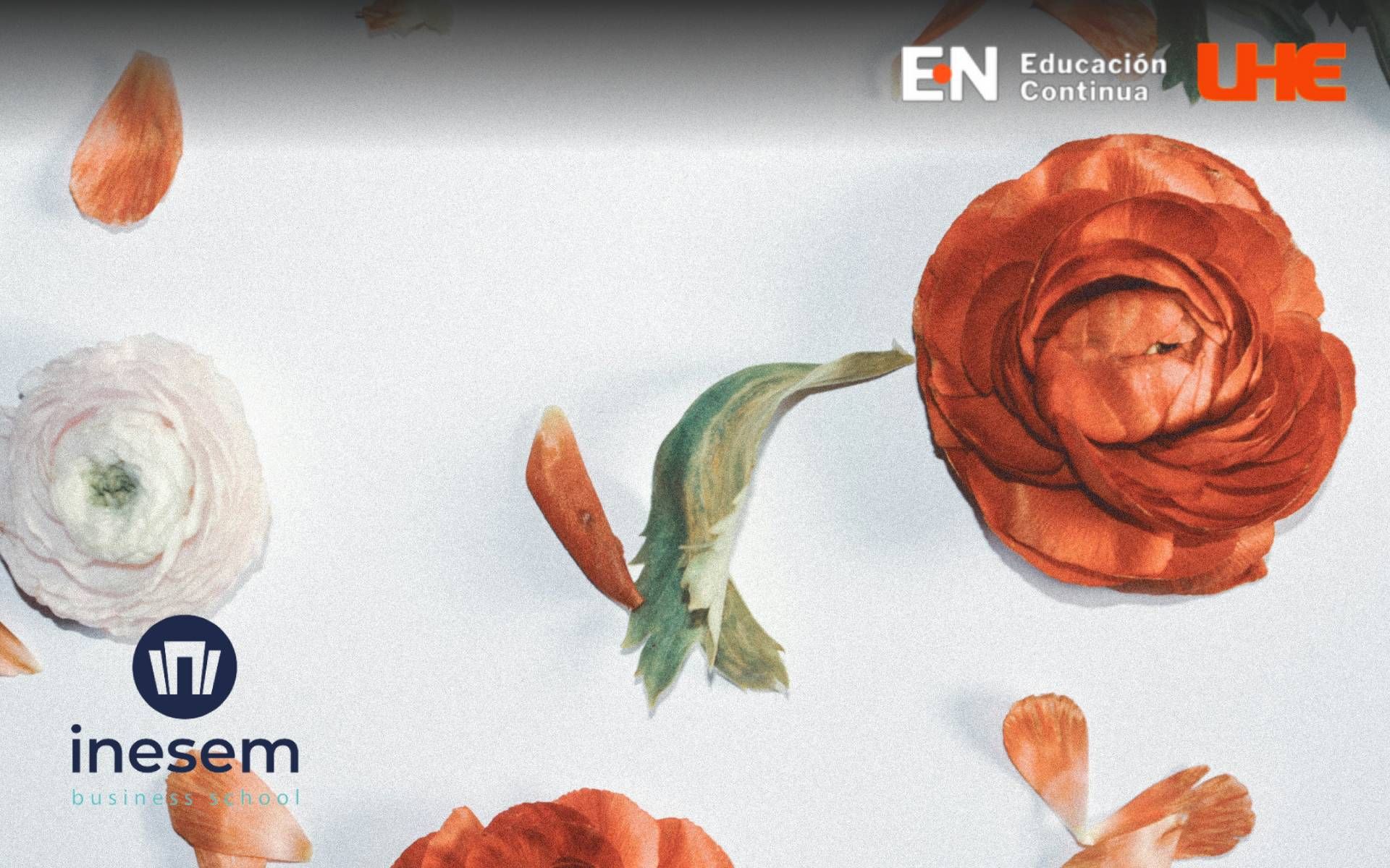 Diplomado en Medicina Natural