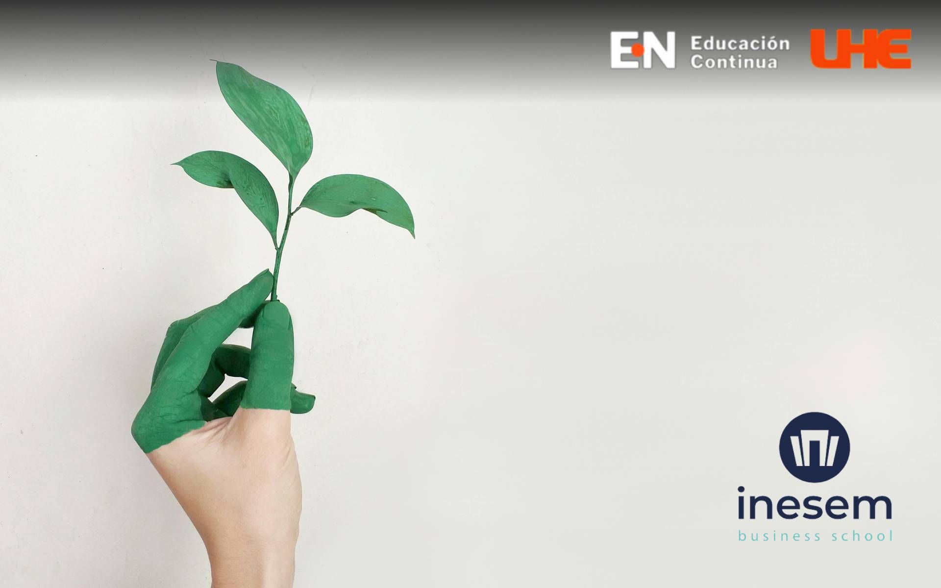 Diplomado en Medio Ambiente